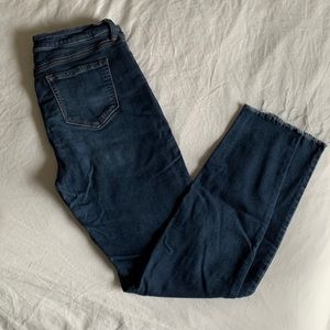 Carly Jean Los Angelos Hudson Jeans